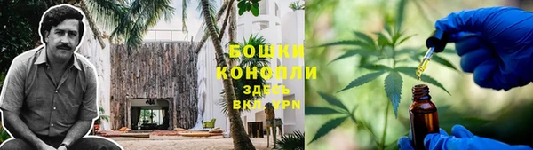 стафф Володарск