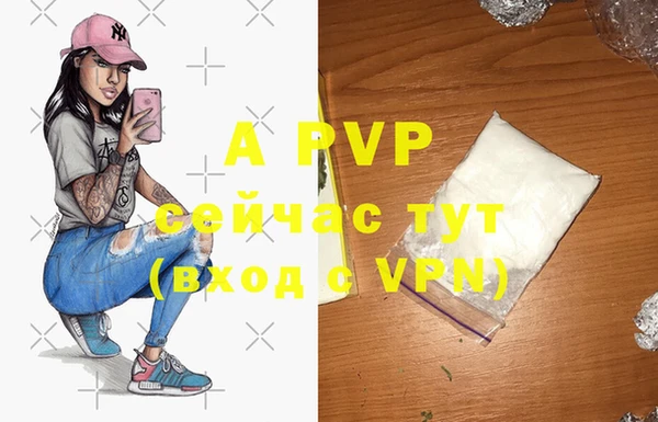 стафф Володарск