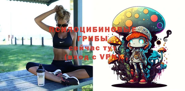стафф Володарск