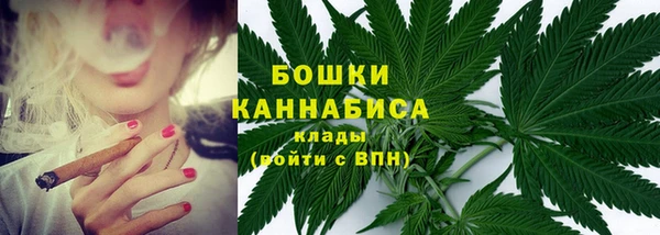 стафф Володарск
