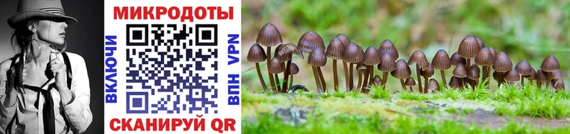 Купить  Вуктыл  Псилоцибиновые грибы MAGIC MUSHROOMS 